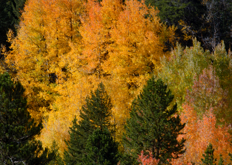DSC_0158.JPG