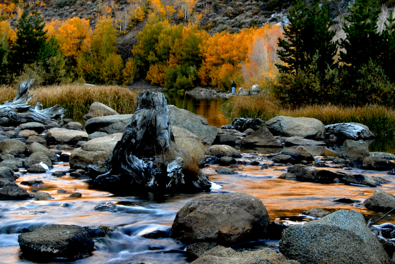 DSC_0352.JPG