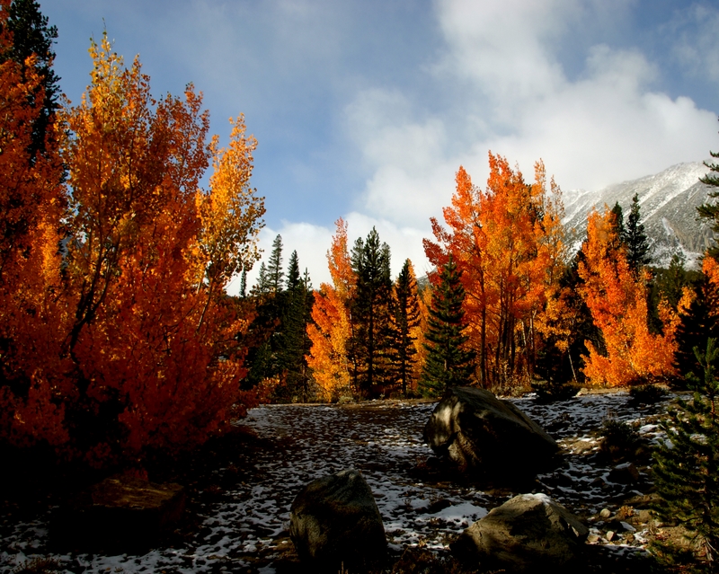 DSC_0177.JPG