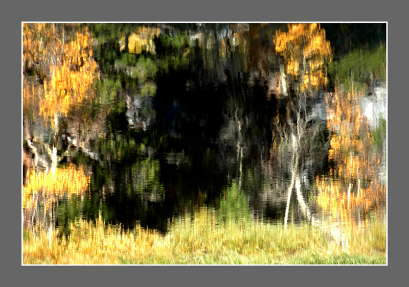 DSC_0293.jpg