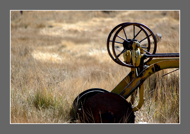 DSC_0362.jpg