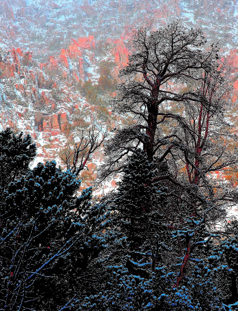 _MG_0067.JPG