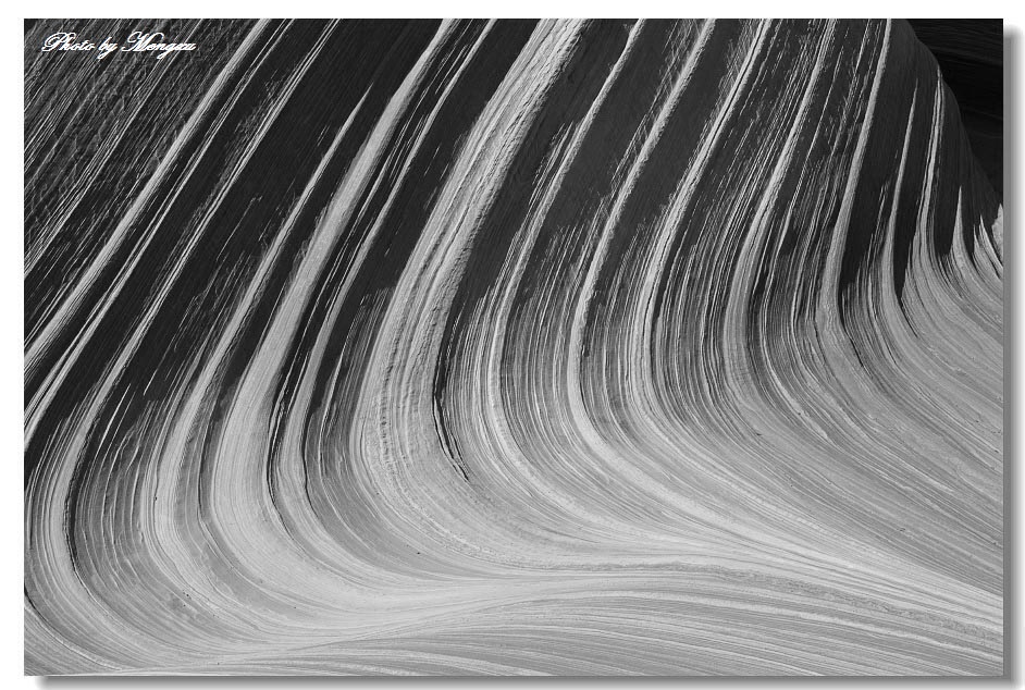 BW.jpg