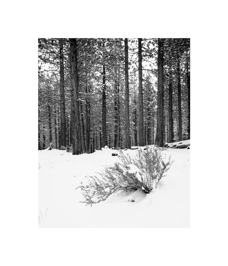 mammoth_lakes_02.jpg