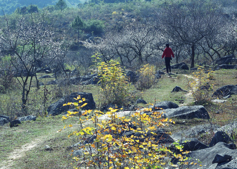 Image7.jpg