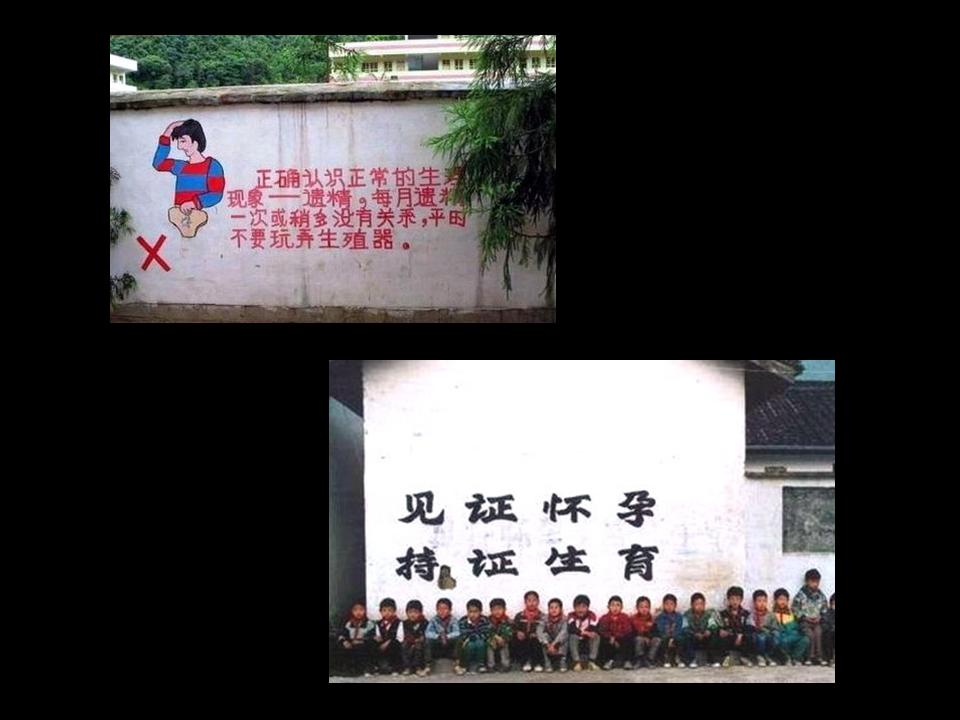 幻灯片11.JPG