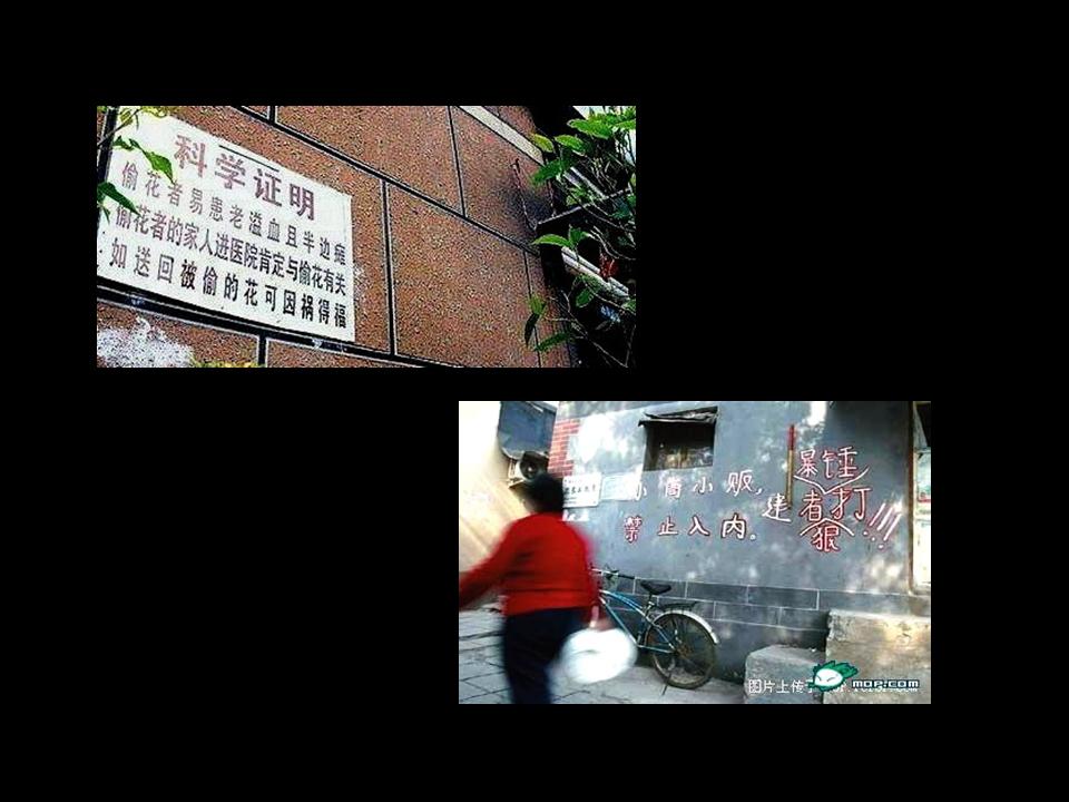 幻灯片15.JPG