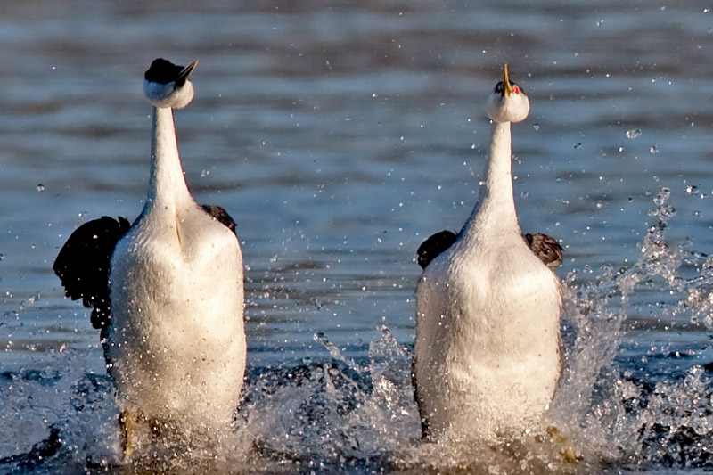 1D3_5559-1.jpg