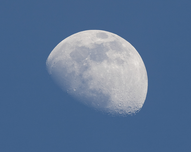 1D3_7014-1.jpg