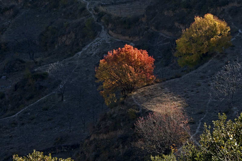 L_004.jpg