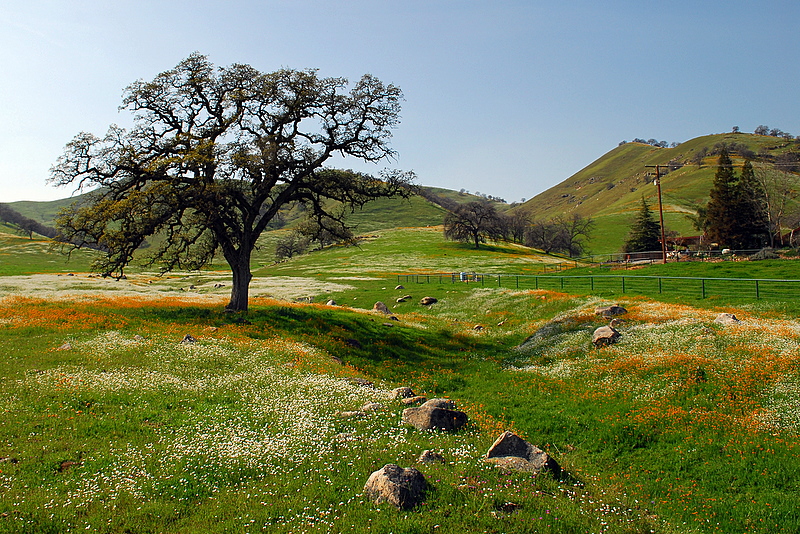 DSC_0341.JPG