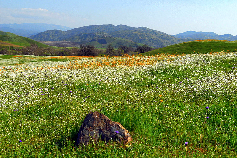 DSC_0417.JPG