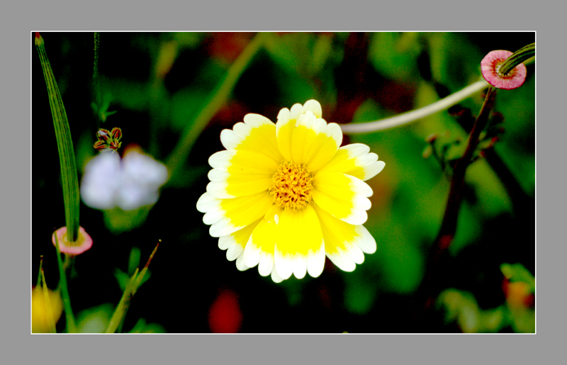 DSC_1188.jpg