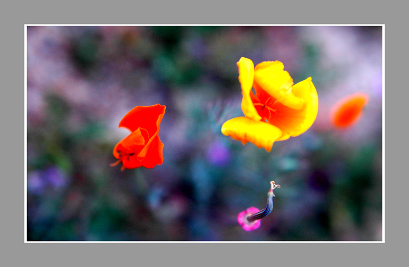 DSC_0878.jpg