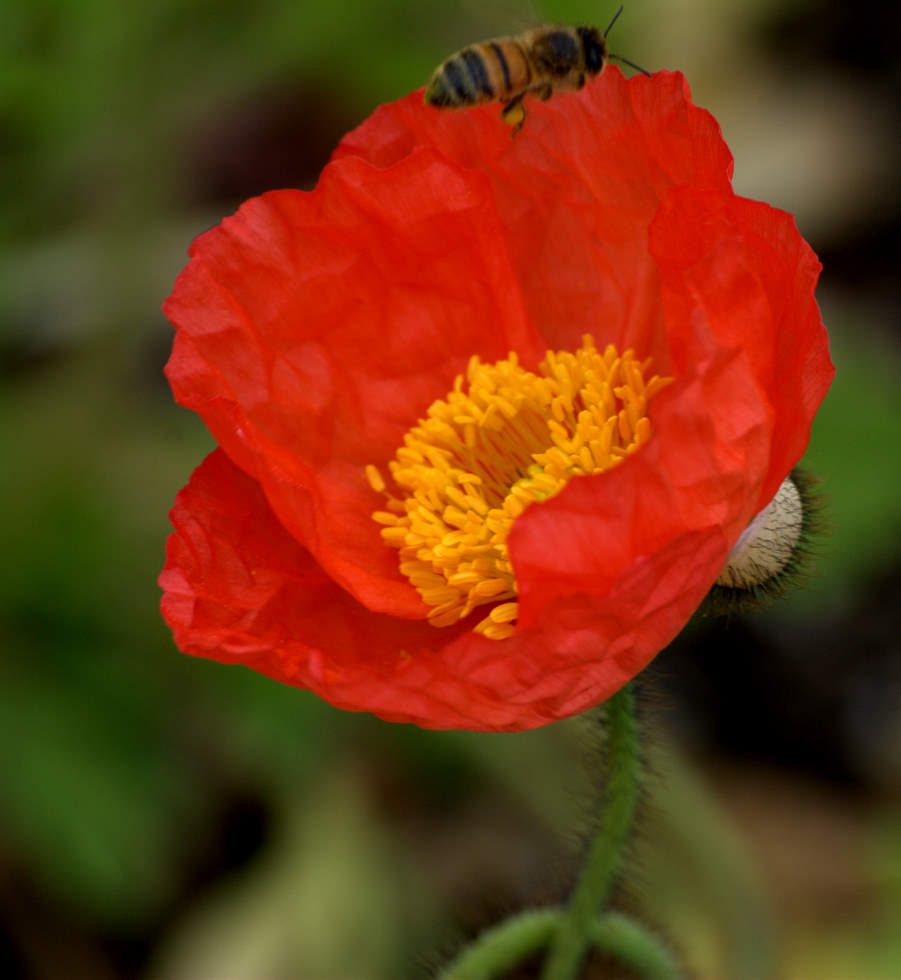 DSC_0104-3.jpg