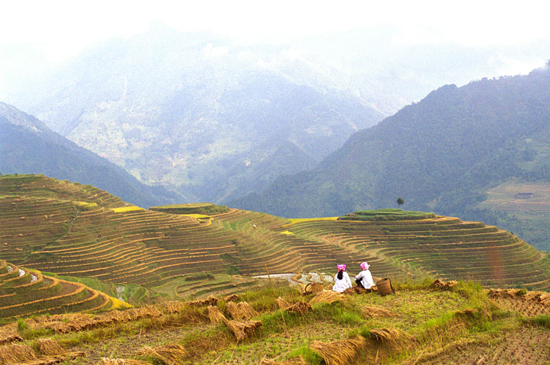 Image21.jpg