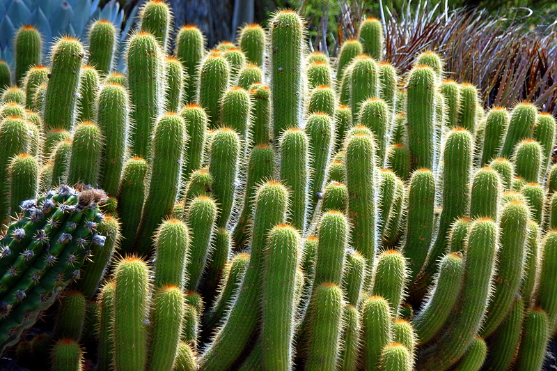 DSC_5463.JPG
