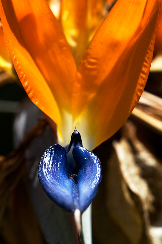 DSC_2841.jpg