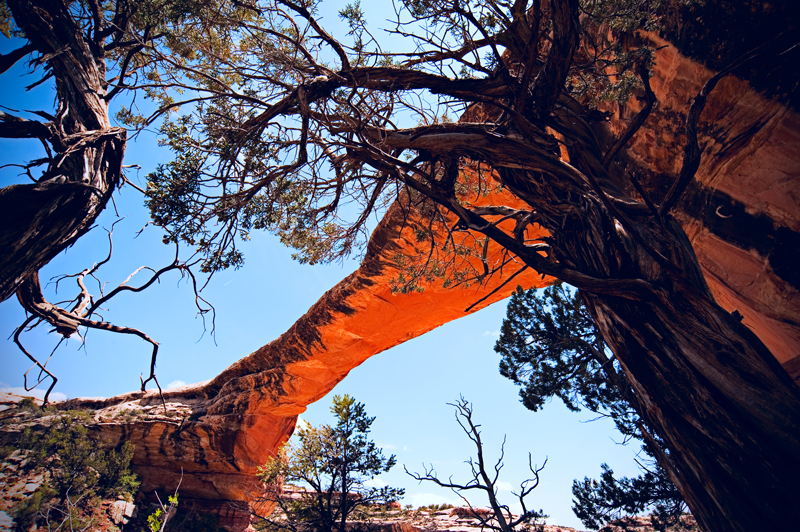 Natural-Bridge-1.jpg