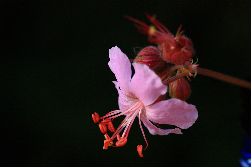 [5]DPP_2988.jpg