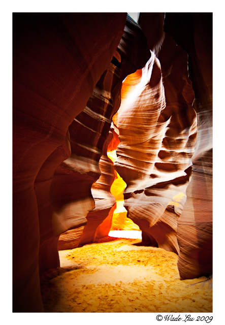 Antelope-cyn1.jpg