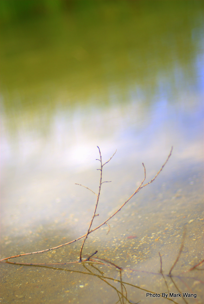 WWJ_12991.jpg