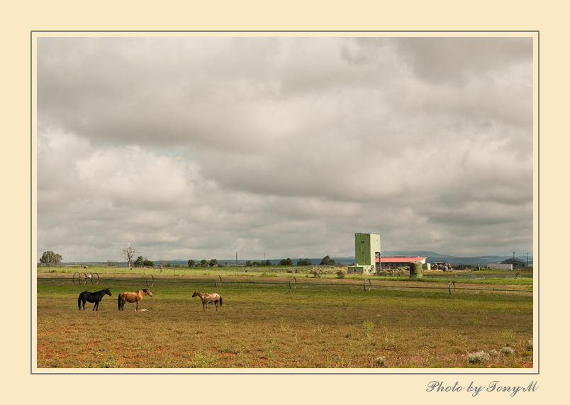 IMG_6535-Edit.jpg