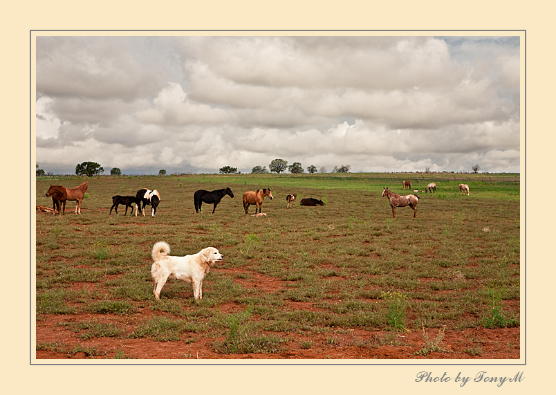 IMG_6537-Edit.jpg