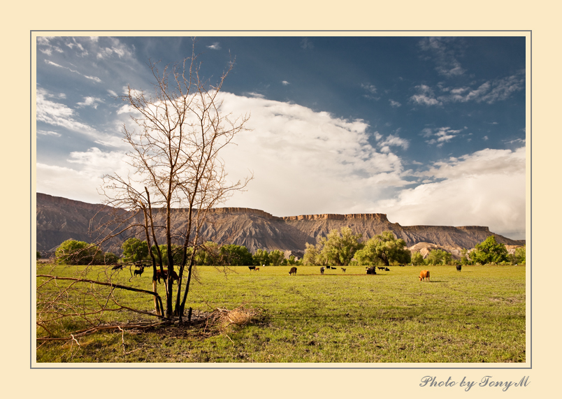 IMG_6696-Edit.jpg