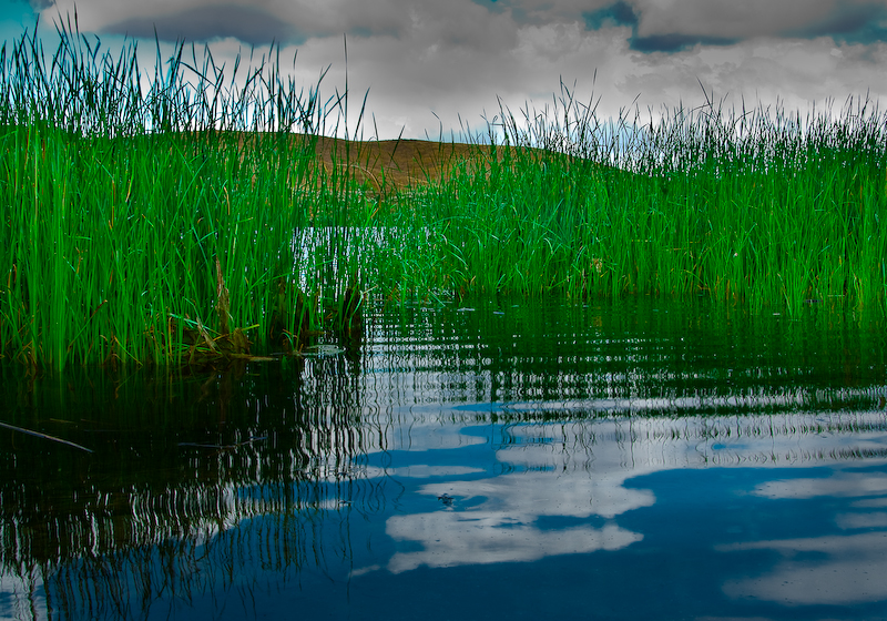 DSC_0011.jpg