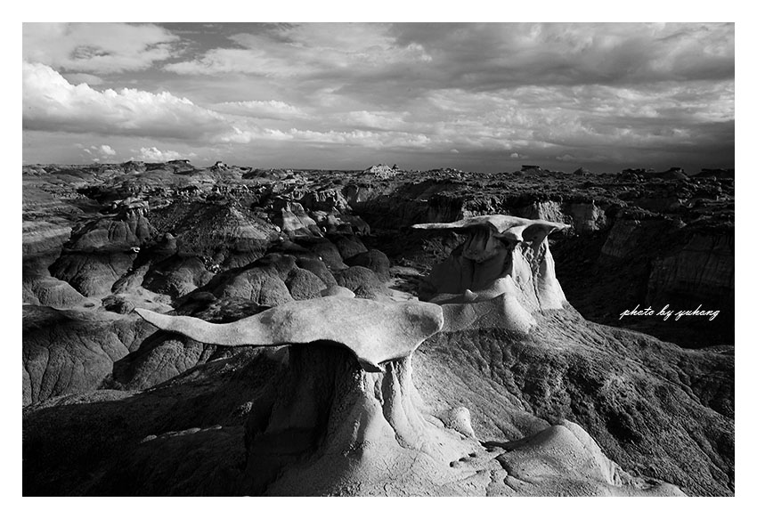 _MG_7664.jpg