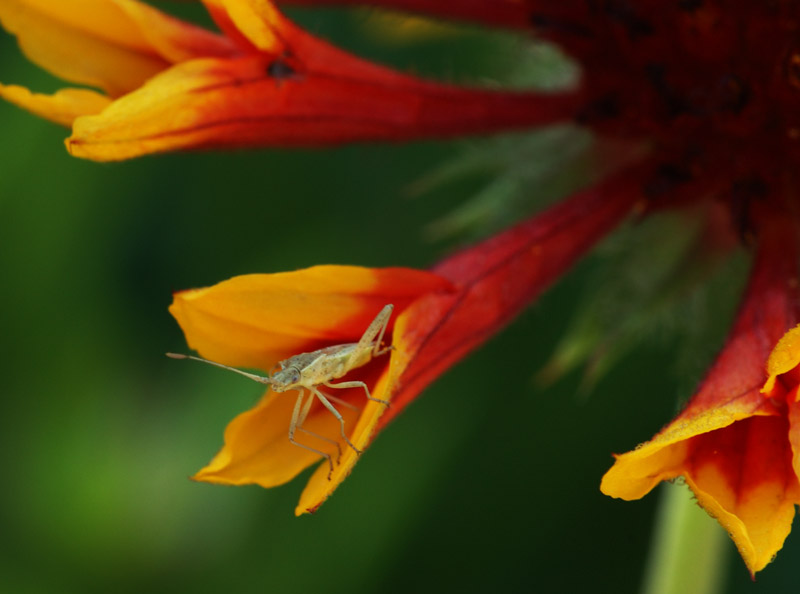 DSC_3332.jpg