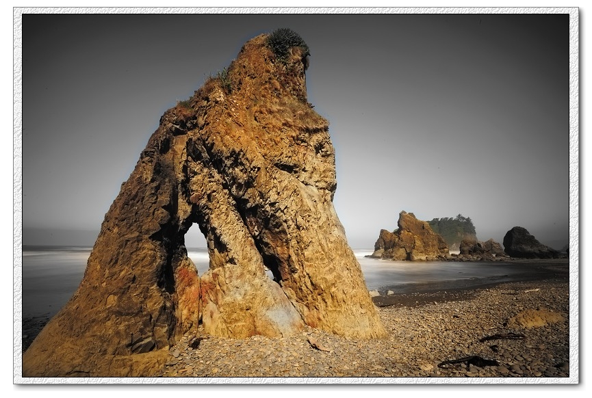 DSC_2430d.jpg