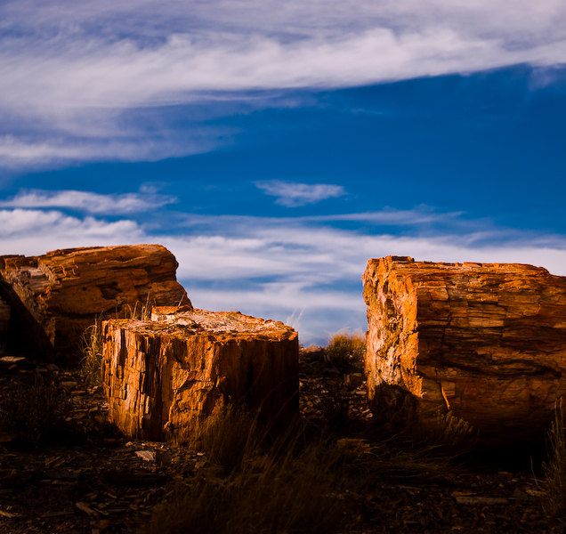 DSC_0117.jpg