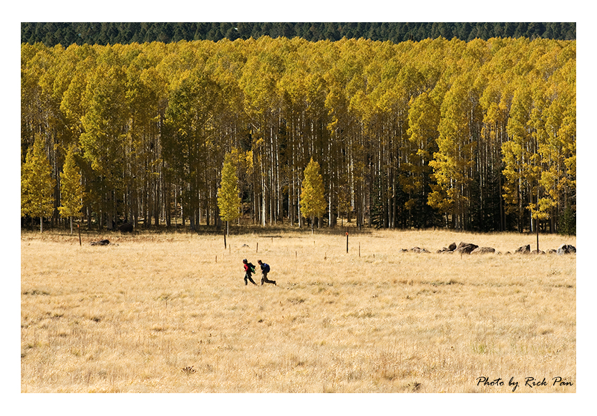 _DSC0375-small.jpg