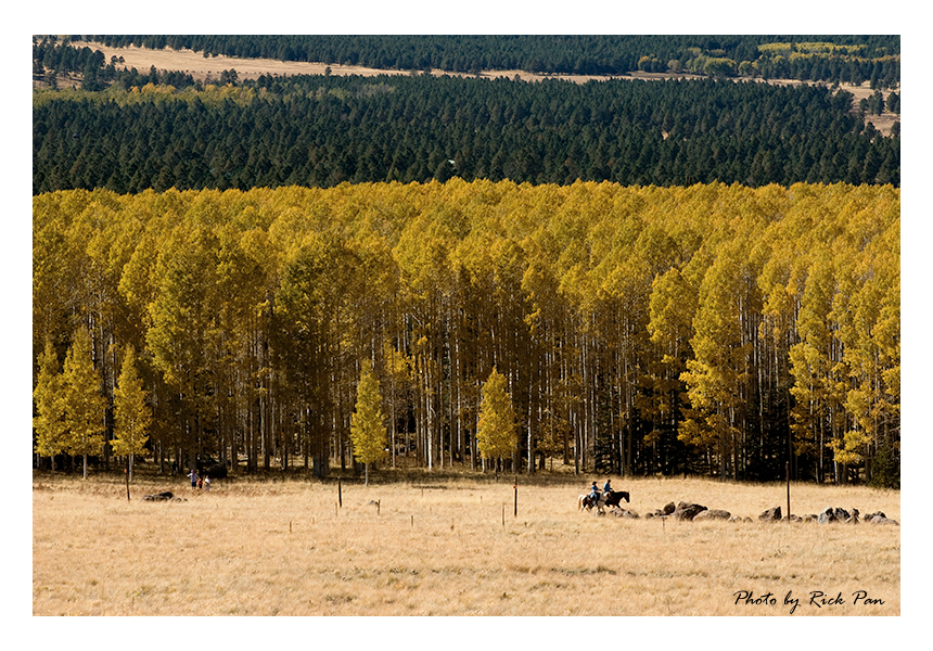 _DSC0383-small.jpg