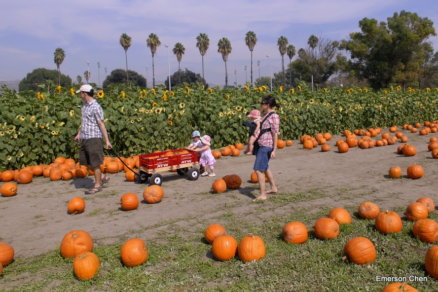 Pumpkin_1-34.JPG