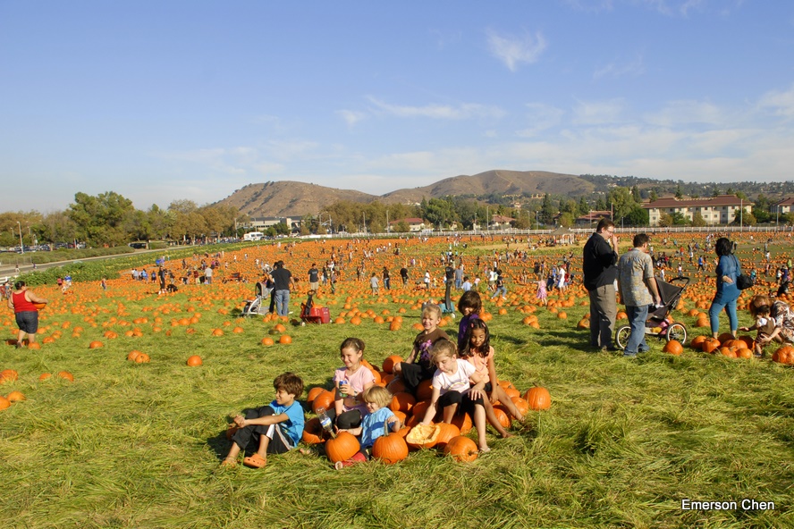 Pumpkin_1-114.JPG