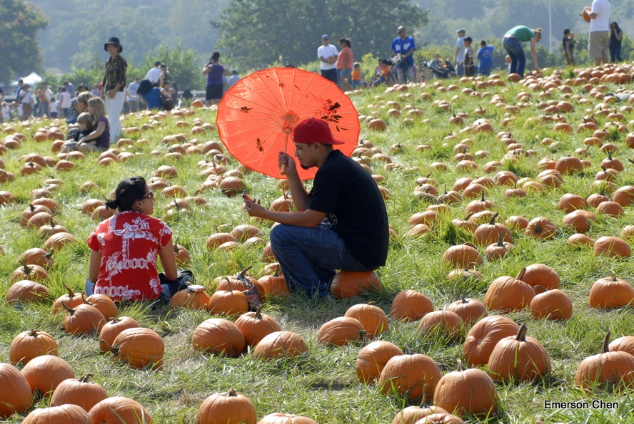 Pumpkin_1-59.JPG