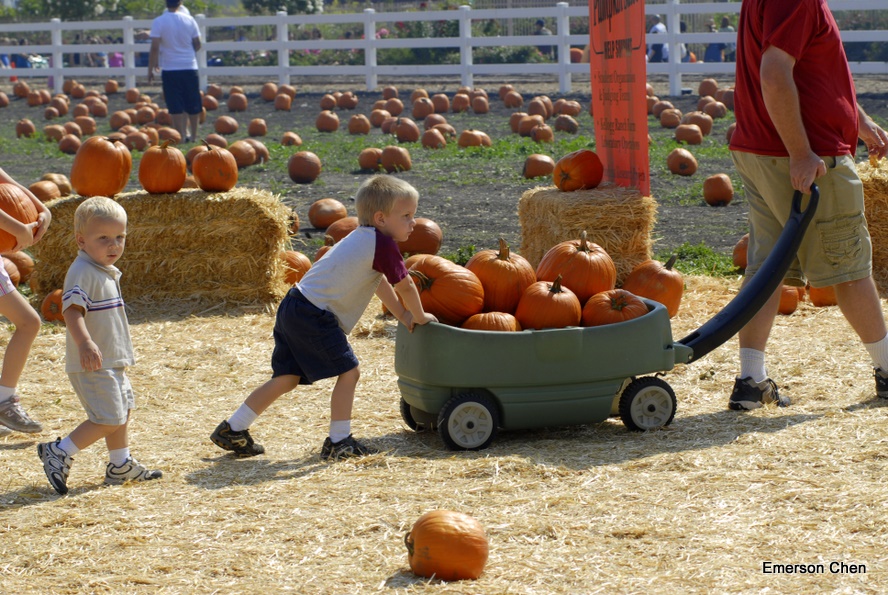 Pumpkin_1-62.JPG