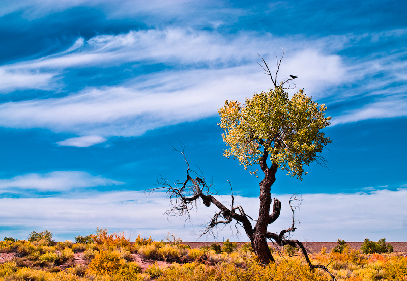 DSC_0064-2.jpg