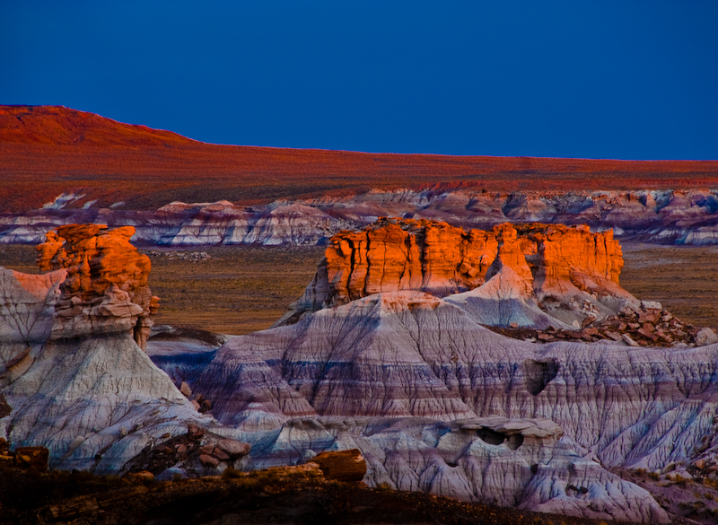 DSC_0202-2.jpg