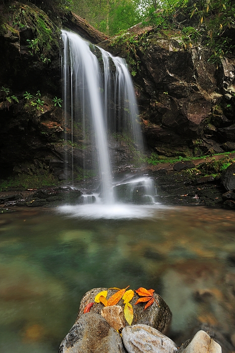 DSC_5100h.jpg