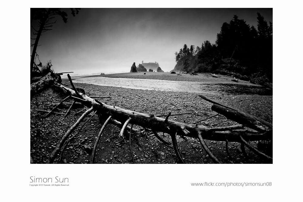 olympic-np1.jpg