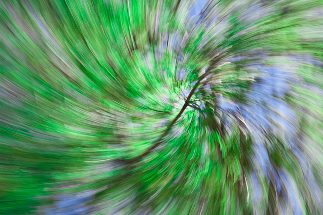 fine art-5.jpg