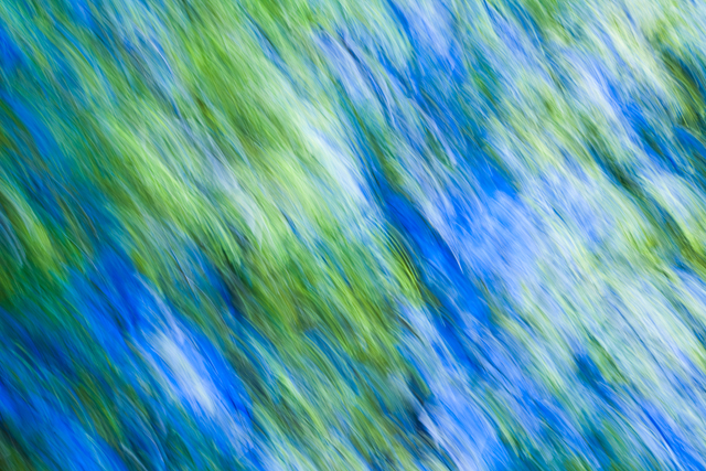 fine art-6.jpg