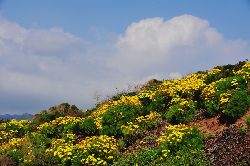 DSC_4824c.jpg