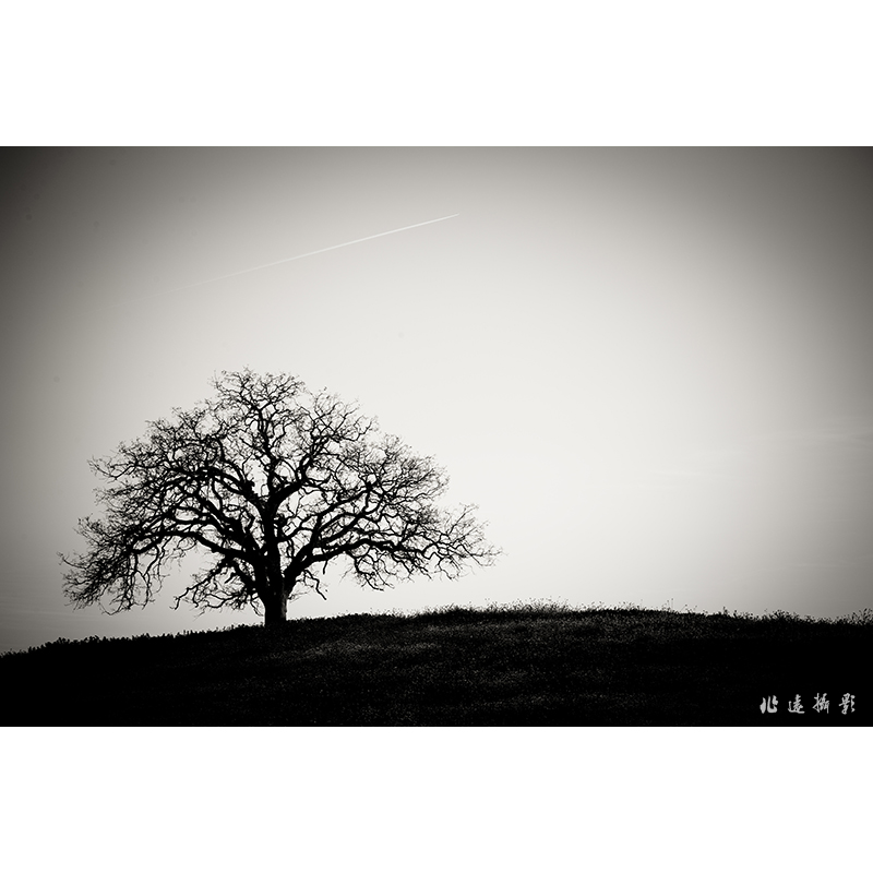 _RPS4800-small.jpg