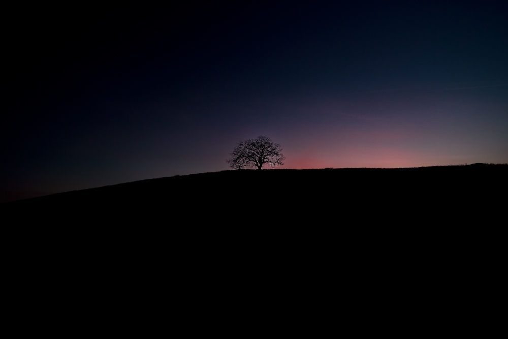 IMG_5892-Edit.jpg