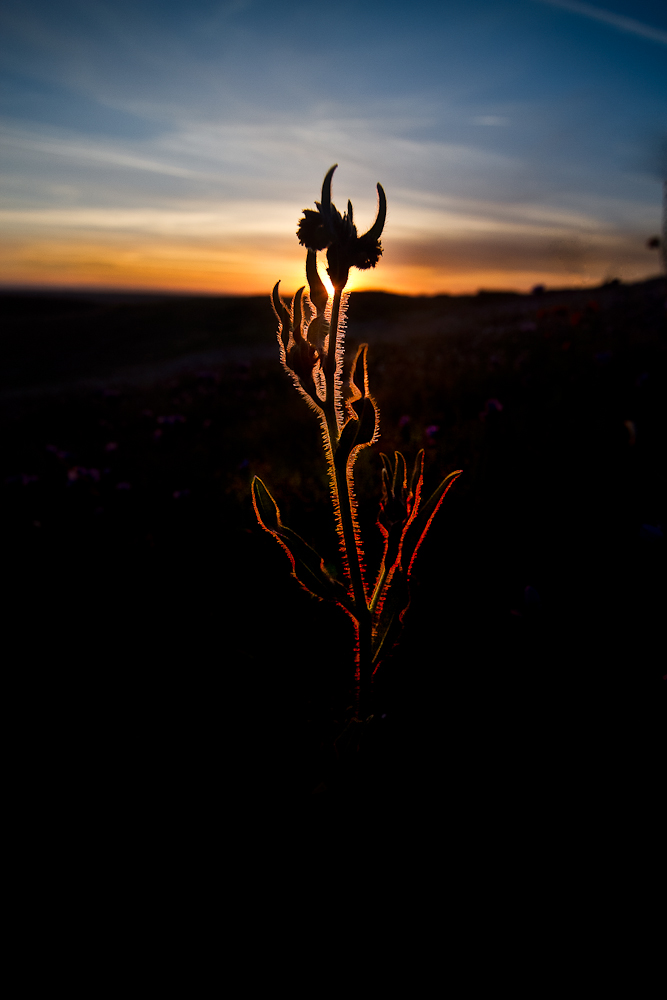 IMG_5855-Edit.jpg